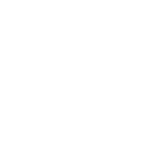 white icon representing intergovernmental affairs